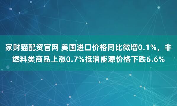 家财猫配资官网 美国进口价格同比微增0.1%，非燃料类商品上涨0.7%抵消能源价格下跌6.6%
