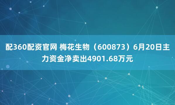 配360配资官网 梅花生物（600873）6月20日主力资金净卖出4901.68万元