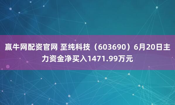 赢牛网配资官网 至纯科技（603690）6月20日主力资金净买入1471.99万元