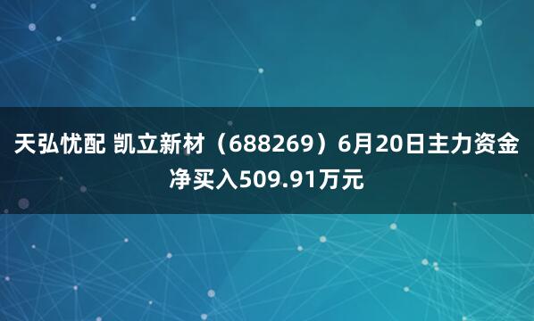 天弘忧配 凯立新材（688269）6月20日主力资金净买入509.91万元