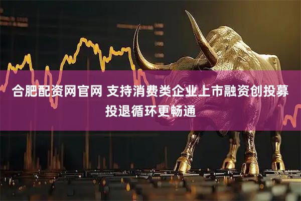 合肥配资网官网 支持消费类企业上市融资创投募投退循环更畅通