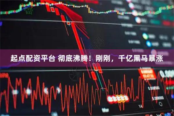 起点配资平台 彻底沸腾！刚刚，千亿黑马暴涨