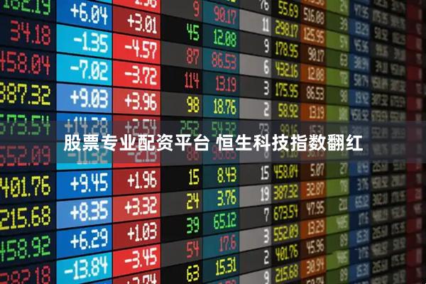 股票专业配资平台 恒生科技指数翻红