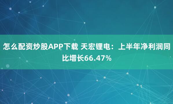 怎么配资炒股APP下载 天宏锂电：上半年净利润同比增长66.47%